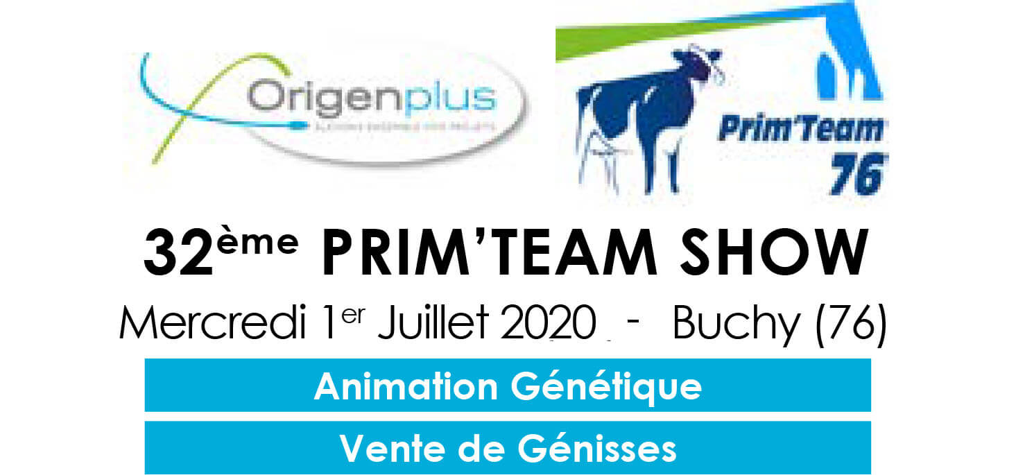 Bandeau du flyer du Prim'Team 76 2020