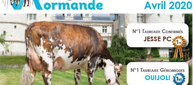 Bandeau de la newsletter n°10 d'Origen Normande (sortie index avril 2020)