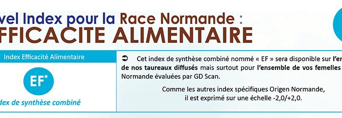 bandeau présentant l'efficacité alimentaire, nouvel index pour la race Normande