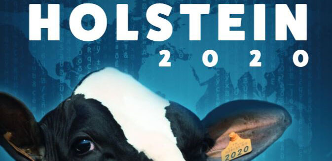 Bandeau du catalogue Prim'Holstein 2020 de Gènes Diffusion