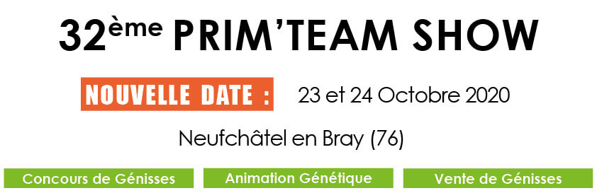 Bandeau du flyer du Prim'Team Show 2020