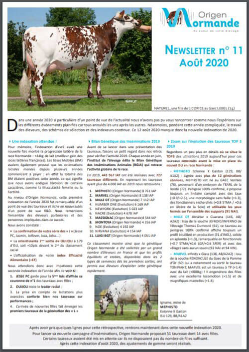 Capture de la première page de la newsletter d'août 2020 d'Origen Normande