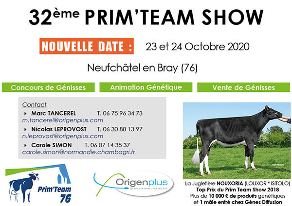 Le recto du flyer du Prim'Team Show 2020