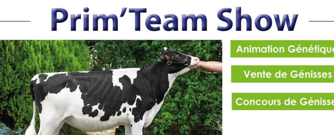 prim team show