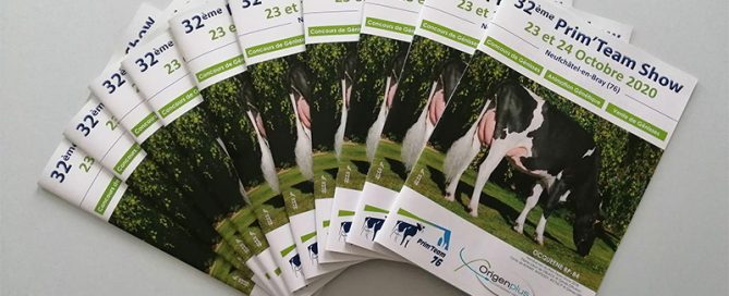 Présentation de plusieurs catalogues de la vente du Prim'Team Show de 2020