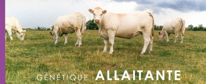 Catalogue allaitant Origenplus