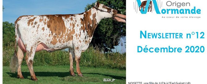 Capture du bandeau de la newsletter de décembre 2020