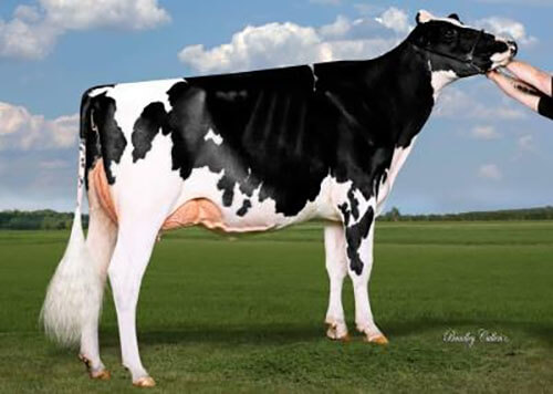Eclipse octane princess 13, mère de MILIO