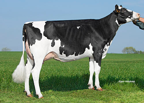 Magie LP (Milford), mère d'ONIX