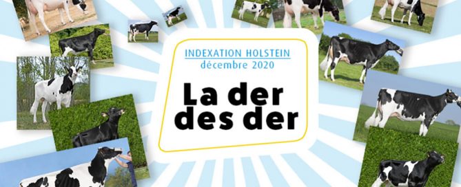 Bandeau de présentation de l'indexation Prim'Holstein de décembre 2020