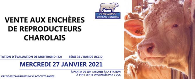 Bandeau de la vente de l'UCC