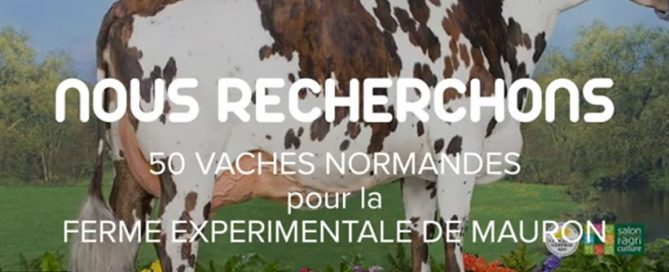 Capture de la vidéo du projet Valnor