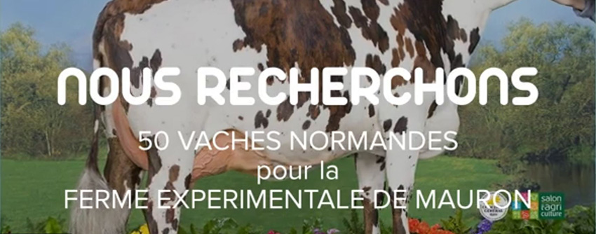 Capture de la vidéo du projet Valnor