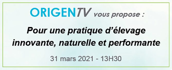Bandeau de l'Origen TV numéro 2