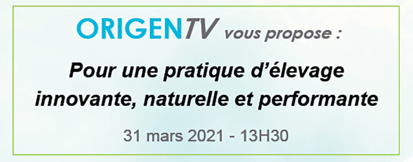 Bandeau de l'Origen TV numéro 2
