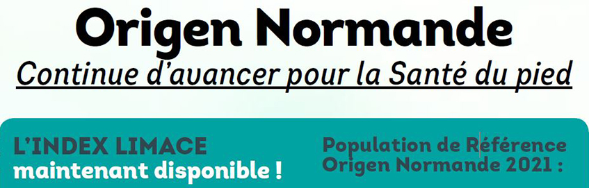 Bandeau de l'article sur l'index Limace en race Normande