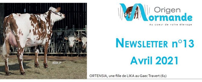 Bandeau de la newsletter n°13 d'avril 2021