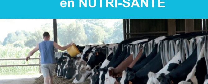 Capture du flyer sur les offres du moment en Nutri-Santé