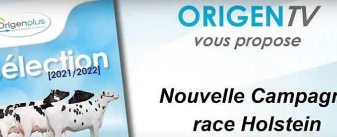 Capture de la vidéo de l'Origen'TV n°3