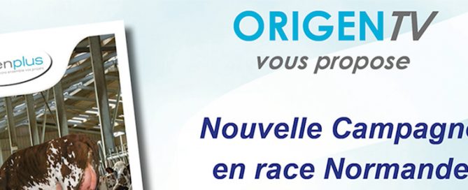 Capture de la vidéo de l'Origen'TV n°4