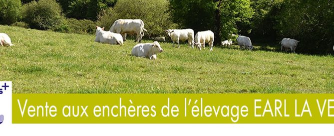 bandeau du flyer de la vente aux enchères de l'élevage EARL la Verrie