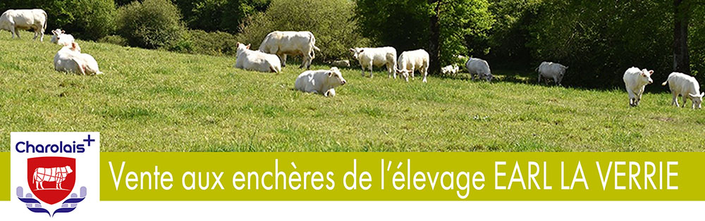 bandeau du flyer de la vente aux enchères de l'élevage EARL la Verrie