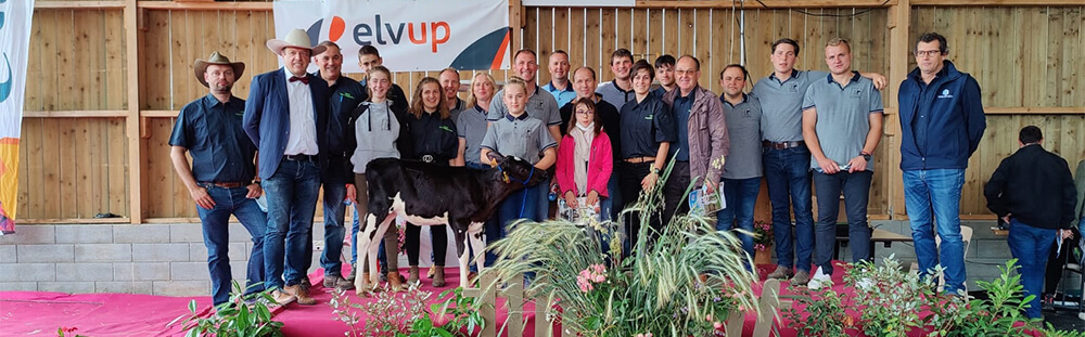Les acteurs de la vente de l'Orne 2021 entourant une génisse Prim'Holstein sur le ring
