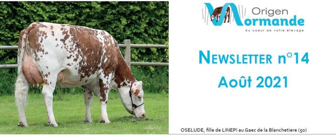 bandeau de la newsletter d'Origen Normande d'août 2021