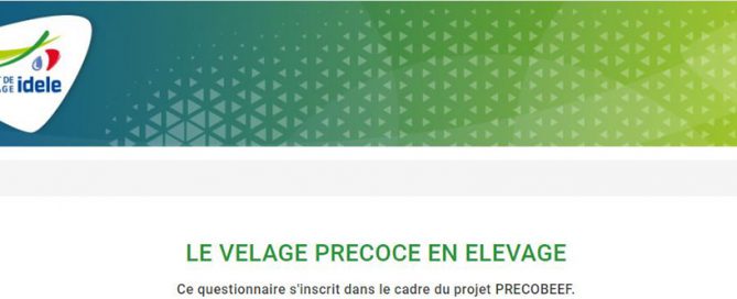 bandeau du questionnaire de l'Idele sur le vêlage précoce