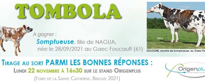Bandeau de l'affiche présentant notre tombola organisée lors de la foire de la sainte Catherine