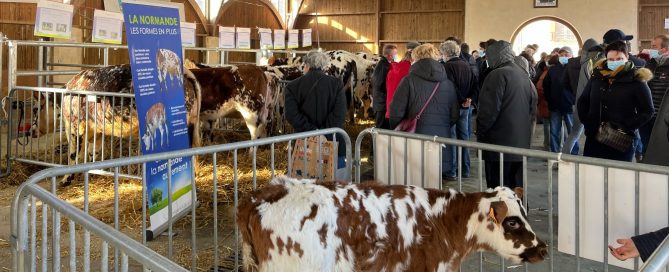 Foire de briouze