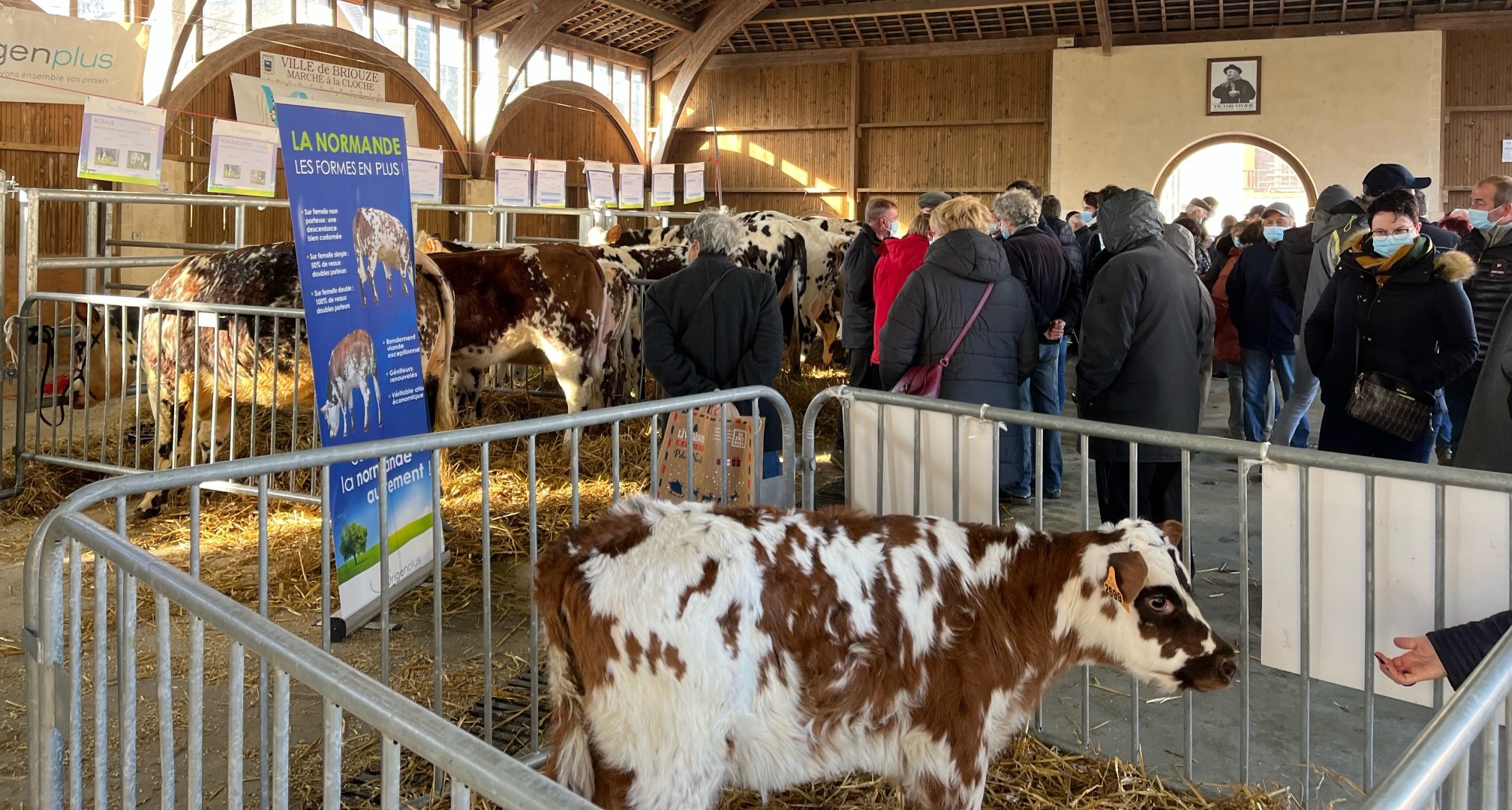 Foire de briouze