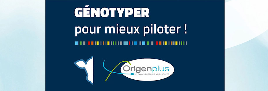 Le visuel "Génotyper pour mieux piloter !"