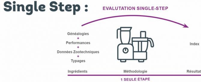 Schéma présentant la méthodologie du Single Step