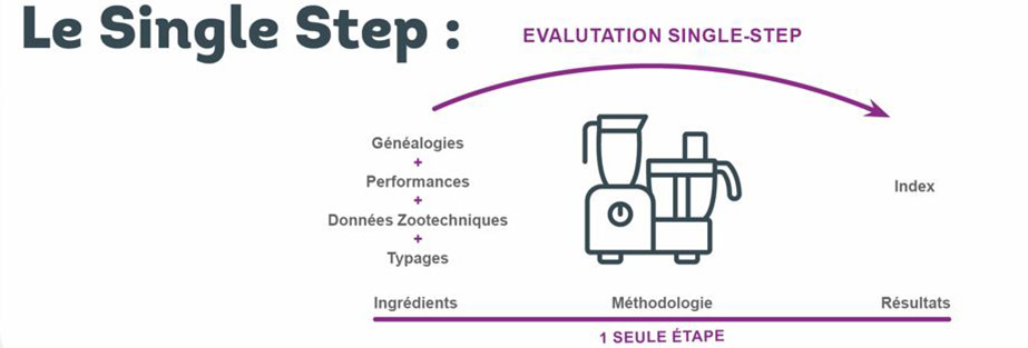 Schéma présentant la méthodologie du Single Step