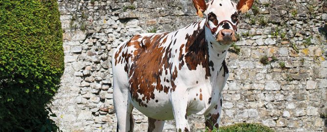 Bandeau de la page de couverture du catalogue normand avec les index d'avril 2022
