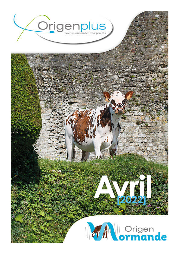 page de couverture du catalogue normand avec les index d'avril 2022