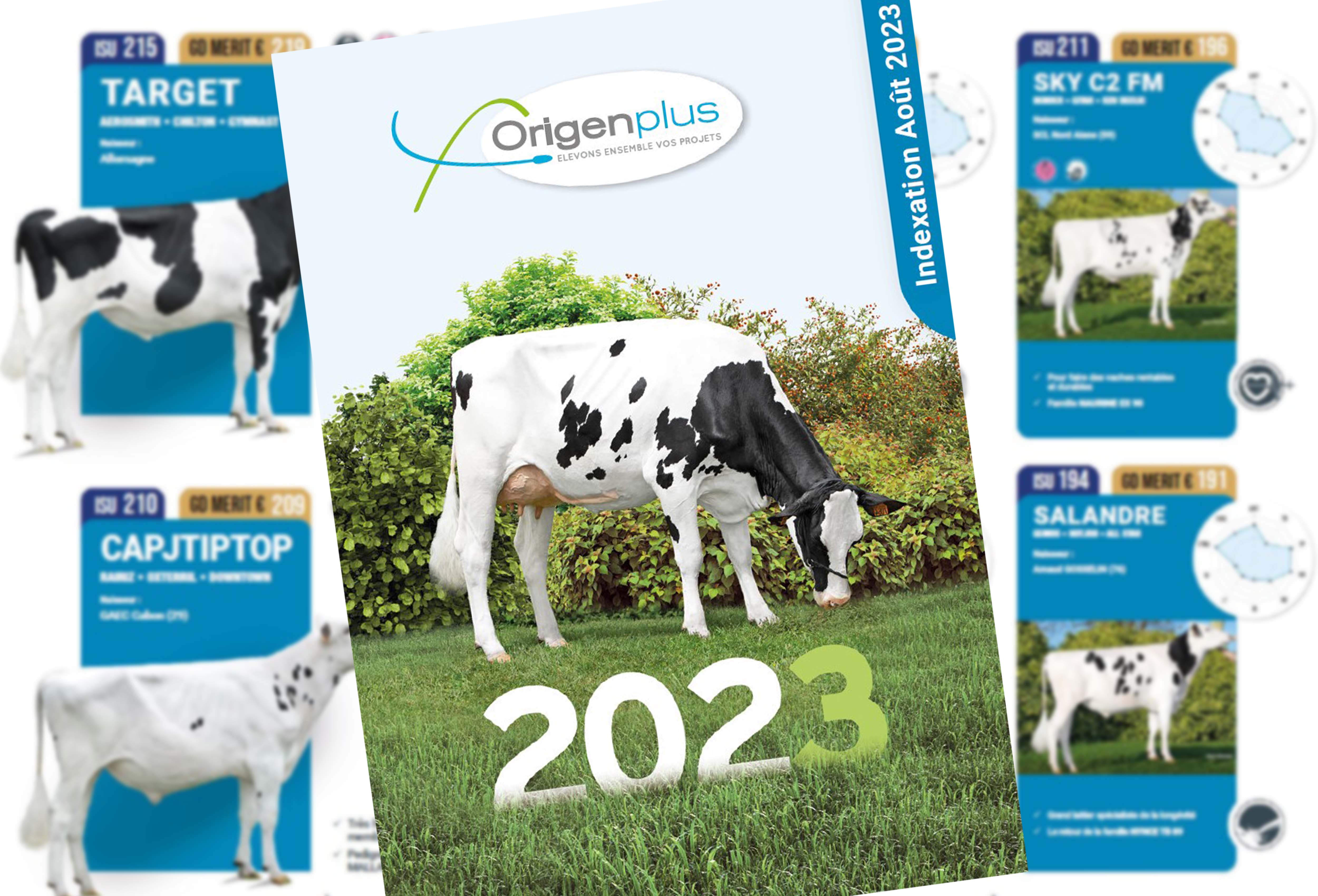 Catalogue Holstein