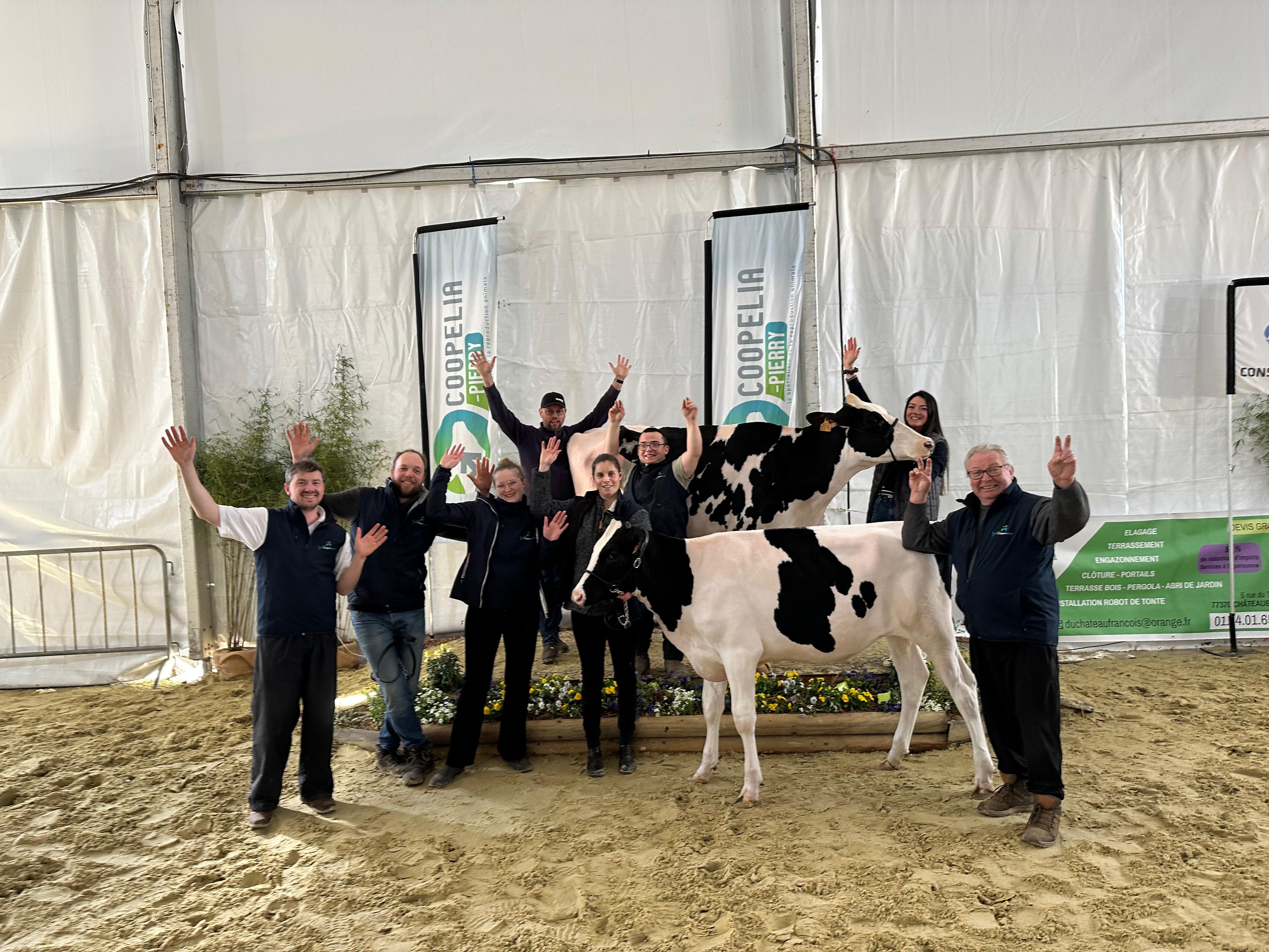 Foire de Coulommiers 2024