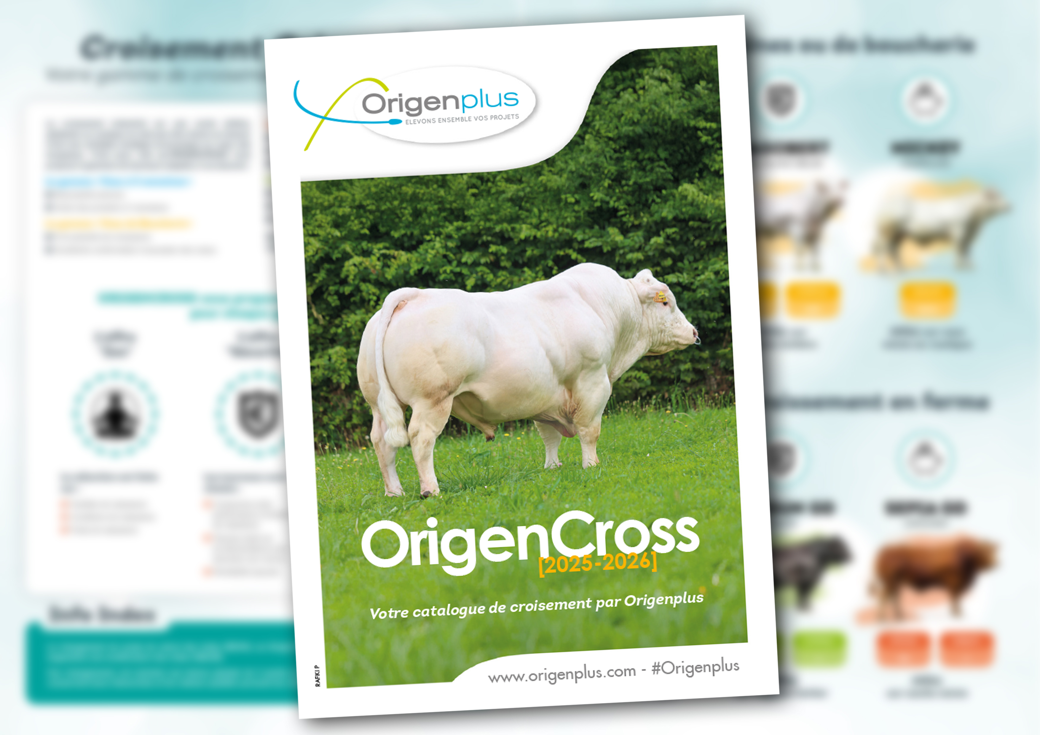 Couverture Catalogue croisement OrigenCross 2025-2026