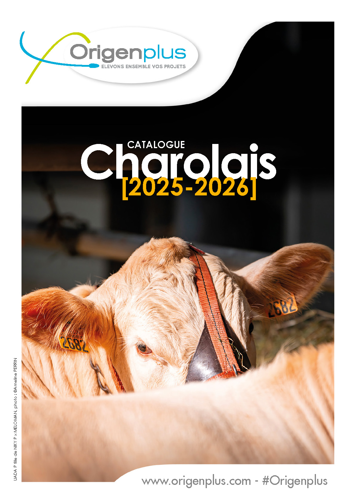 Catalogue Allaitants 2025-2026 présentant les nouveautés génétiques en races Blonde d’Aquitaine, Limousine, Salers, Parthenaise et Rouge des Prés, avec un focus sur la gestion de la FCO et des conseils pour la reproduction bovine.