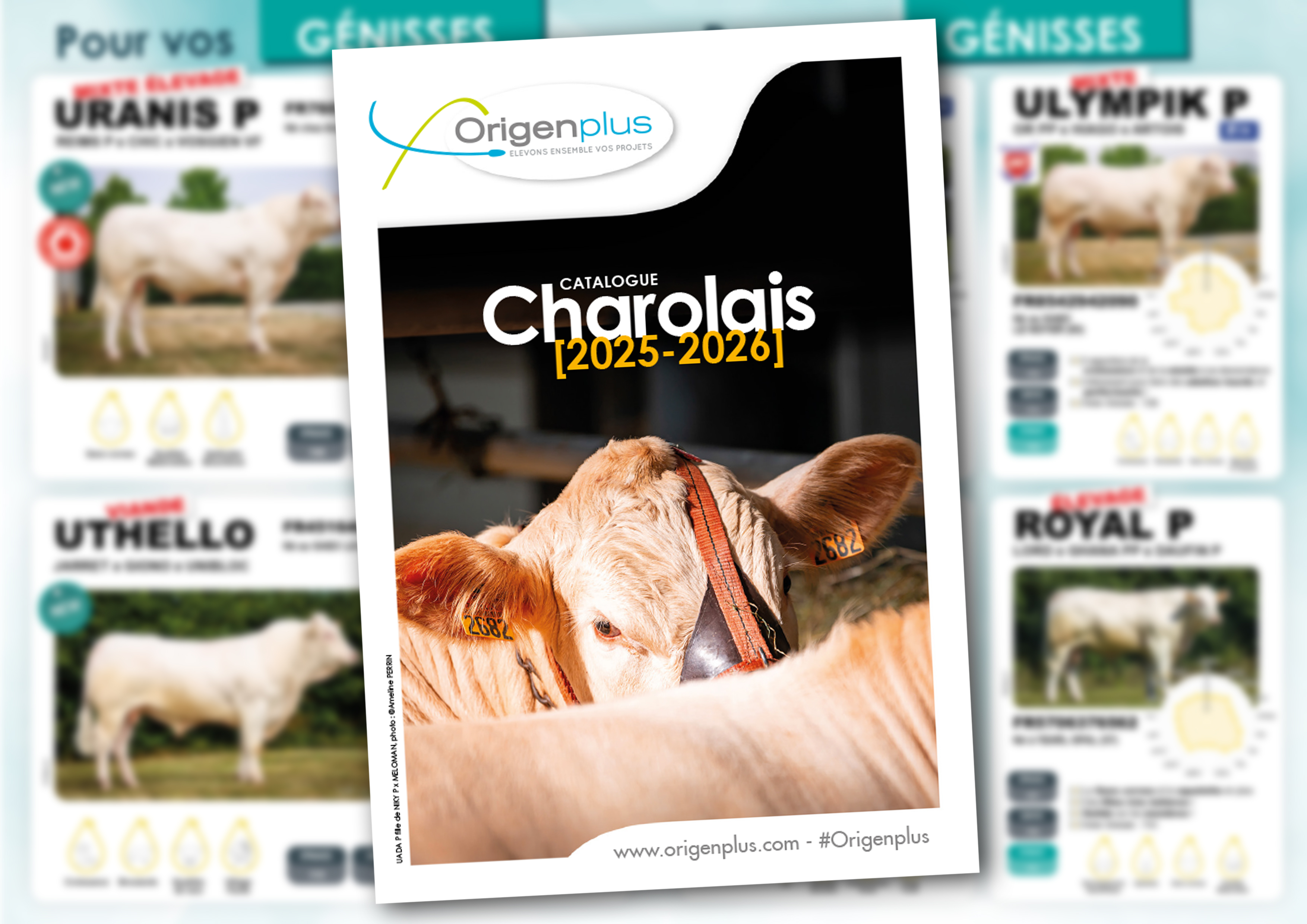 Couverture du catalogue Charolais 2025-2026 - Origenplus