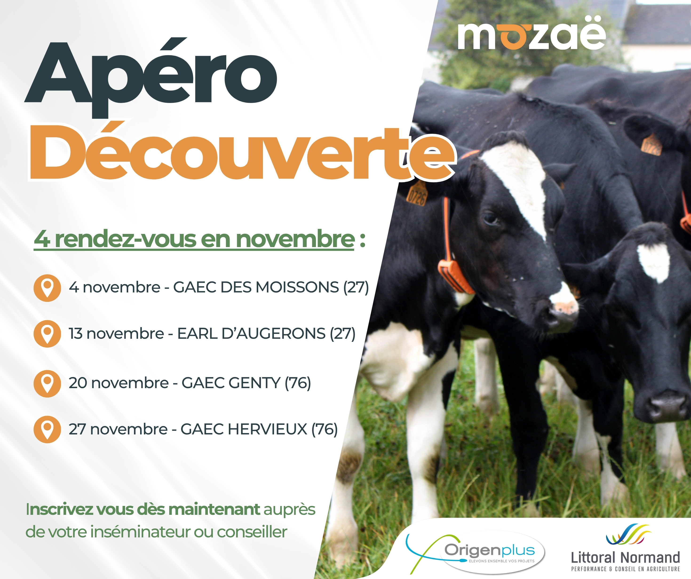 Affiche annonçant les « Apéros découverte Mozaë » : 4 rendez‑vous en novembre, sur inscription.