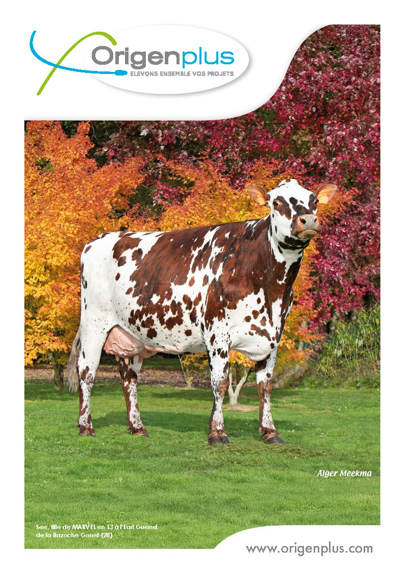 Catalogue Normand Origenplus - Janvier 2026