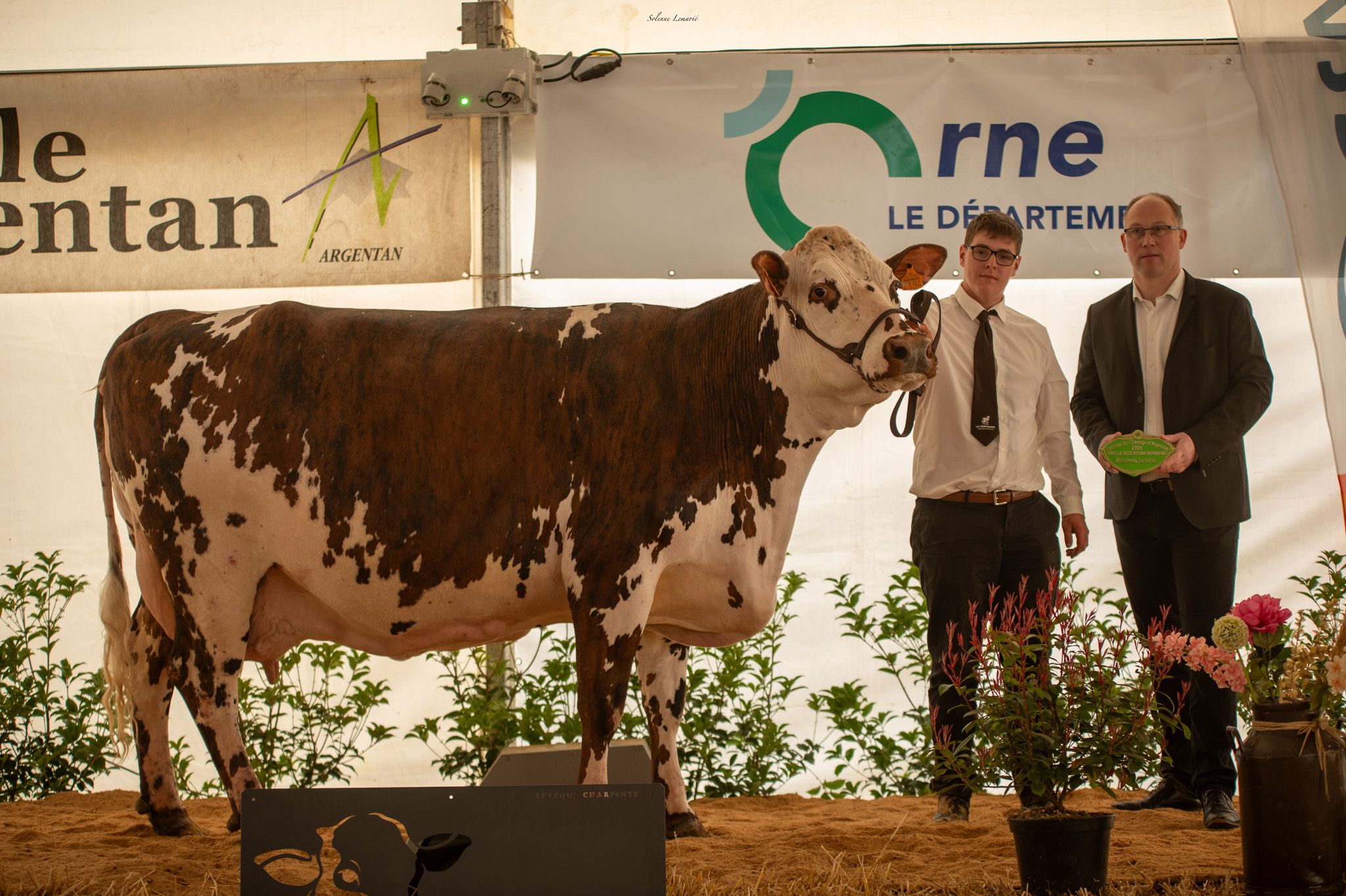 Groupe d’éleveurs et d’éleveuses posant sur un ring avec plusieurs vaches de race Normande lors du concours départemental à la Fête de la Normandie à Argentan. Prix de la meilleures Laitière