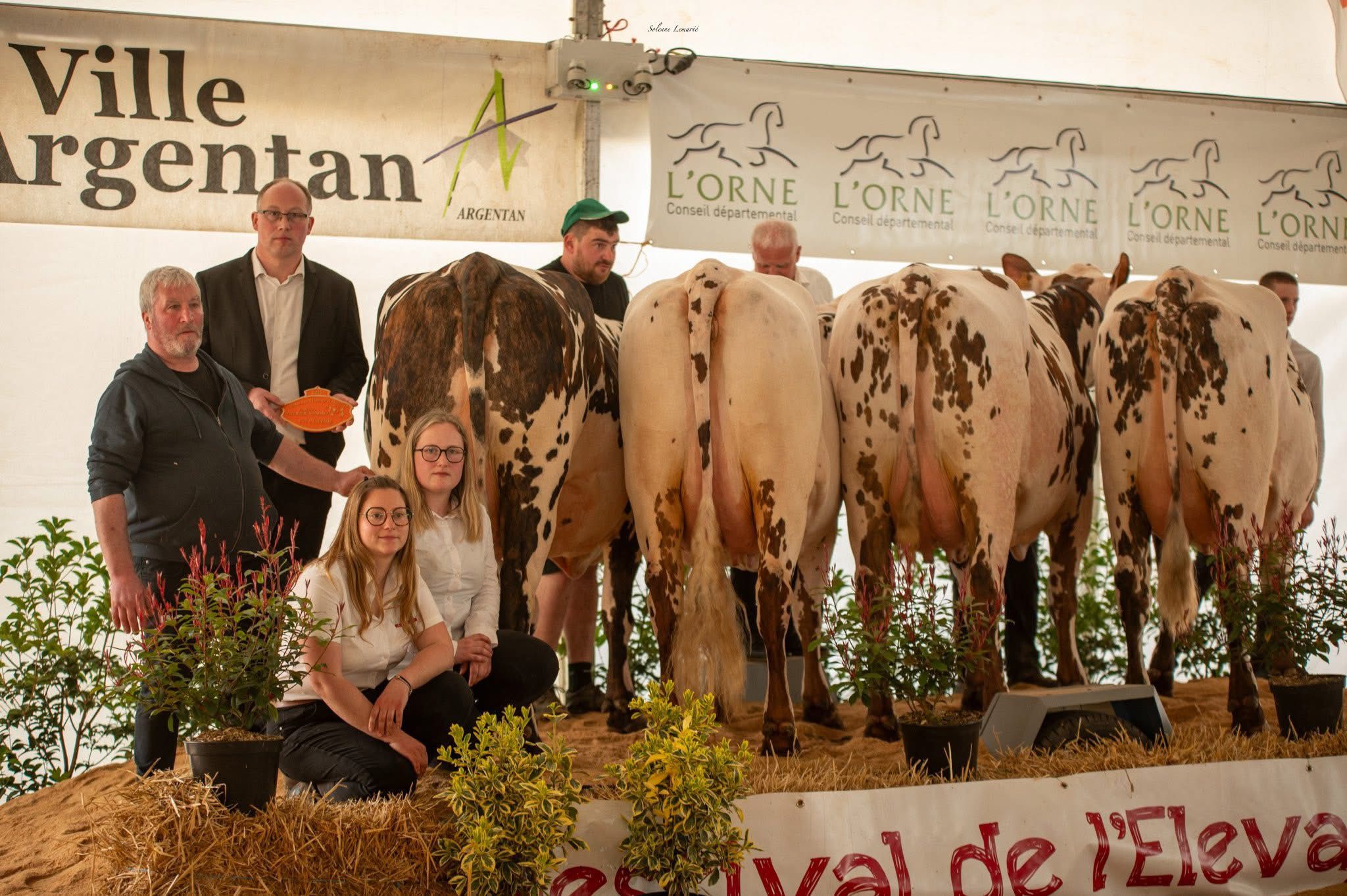 Groupe d’éleveurs et d’éleveuses posant sur un ring avec plusieurs vaches de race Normande lors du concours départemental à la Fête de la Normandie à Argentan. Prix d'élevage