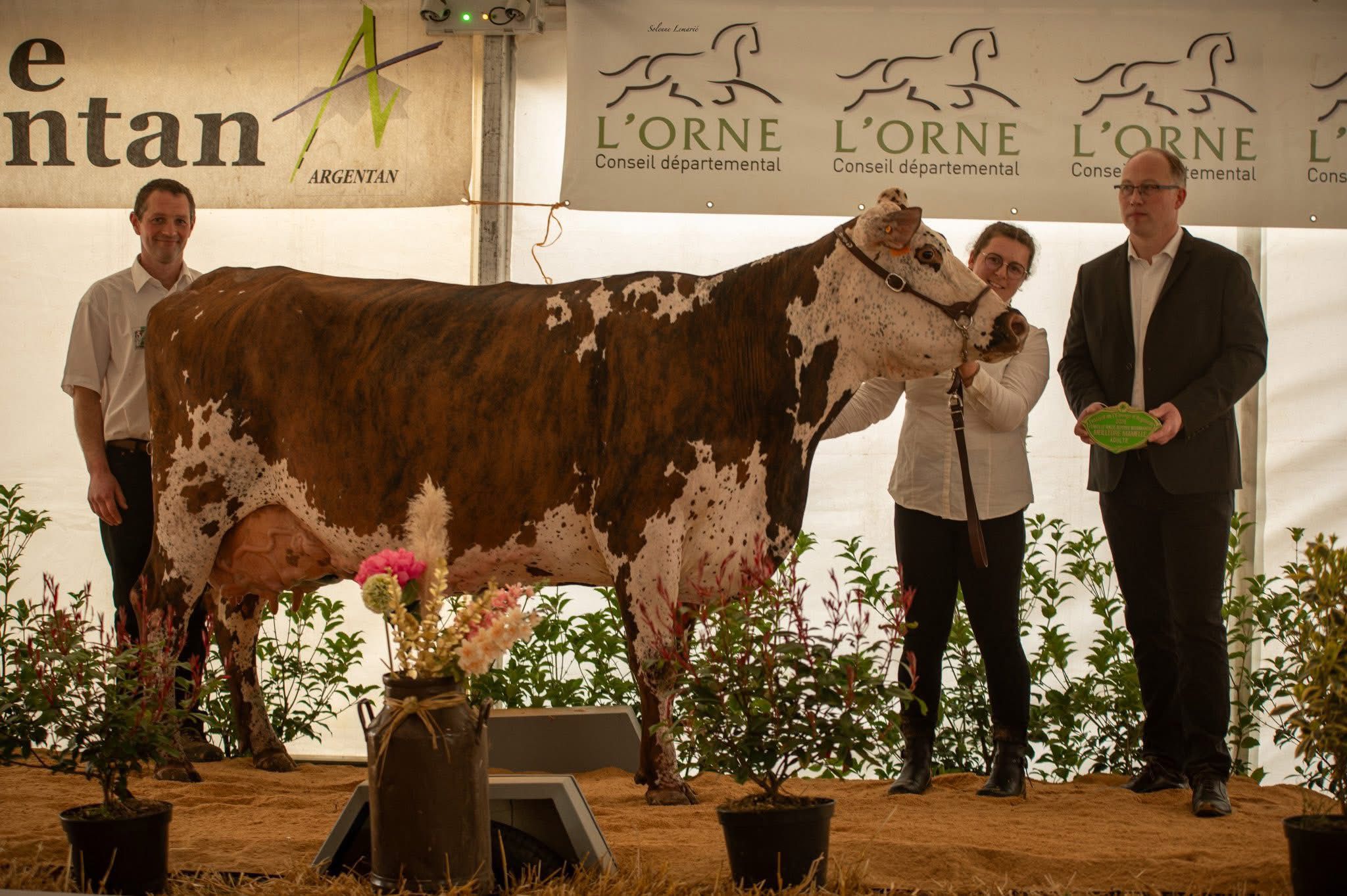 Groupe d’éleveurs et d’éleveuses posant sur un ring avec plusieurs vaches de race Normande lors du concours départemental à la Fête de la Normandie à Argentan. Prix de la meilleure Mamelle