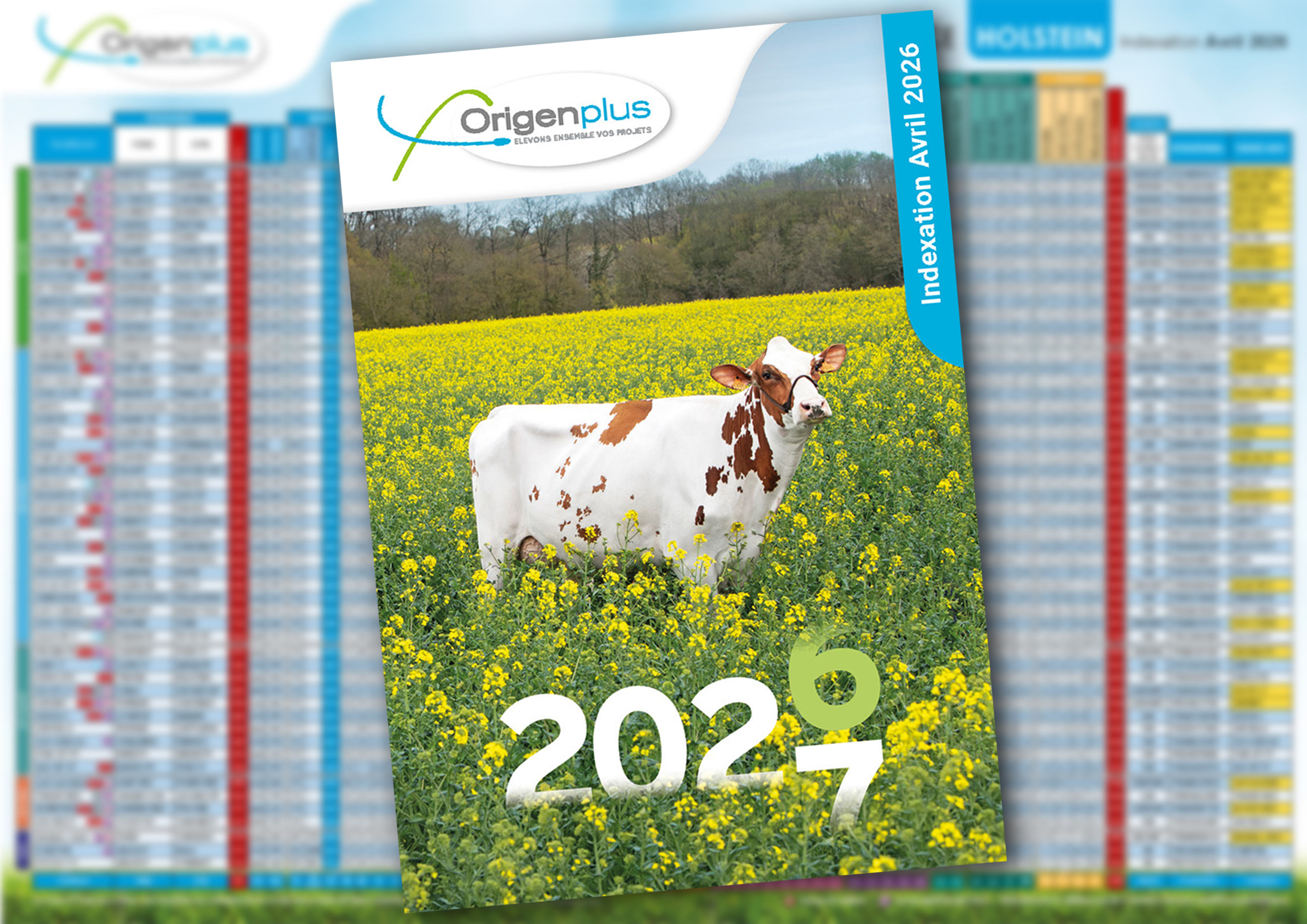 Catalogue Holstein avril 2026 Origenplus taureaux génétiques