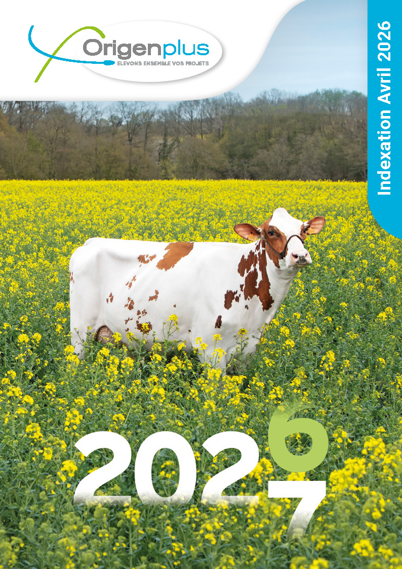 Page de couverture catalogue Holstein Avril 2026 Couverture catalogue Génétique Holstein - Origenplus - Avril 2026