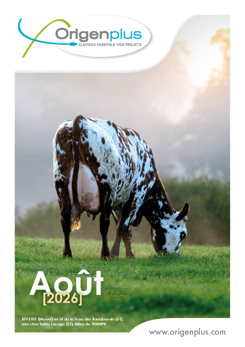 Page de couverture catalogue Normand Août 2026